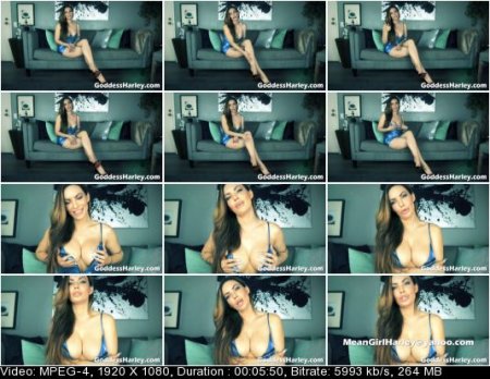 Amazon Goddess Harley - Blue Balls Mind Eraser Amazon Goddess Harley - Blue Balls Mind Eraser