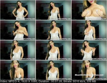 Amazon Goddess Harley - I Understand Your Erection Amazon Goddess Harley - I Understand Your Erection