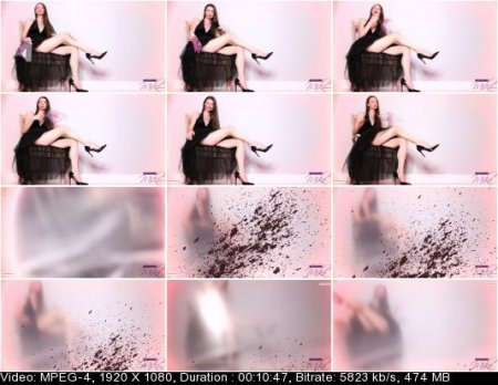 Empress Mika - Ultimate Toilet Slave Task Empress Mika - Ultimate Toilet Slave Task