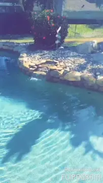 Poster: luxuriouslexi 13-04-2017-254416-Vid You love watching Me relax by the water