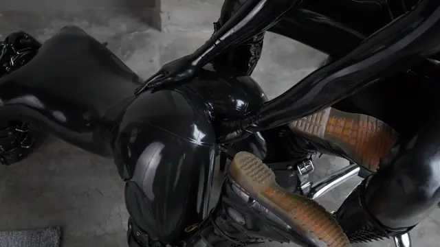 Poster: Reflectivedesire – Bitchsuit