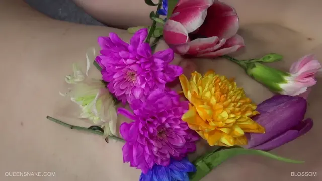 Poster: QueenSnake - Blossom 2016 July 2