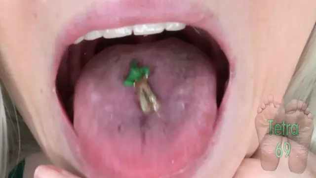 Poster: Tetra69 – Giantess Plays with Leprechauns Poster: Tetra69 – Giantess Plays with Leprechauns