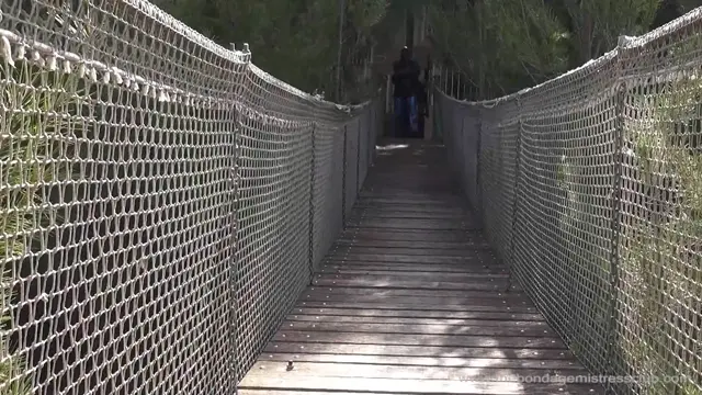 Poster: Bridge Of Piss Poster: Bridge Of Piss