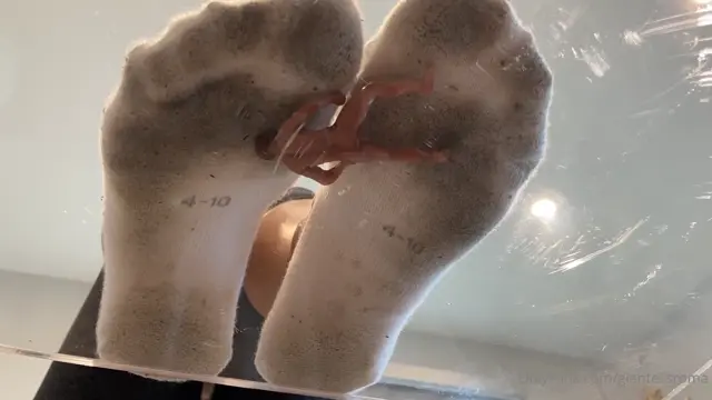 Poster: 366 giantessroma 202110200gvlvaszwvyrlgynns472 source