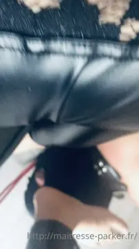 Poster: Not So Wise When You See The Images In Action – MAITRESSE ANDREA PARKER