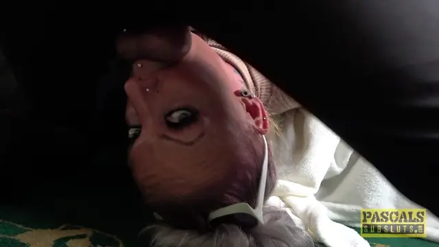 Poster: Brooke: Anal Barbie-Milf Fights Back