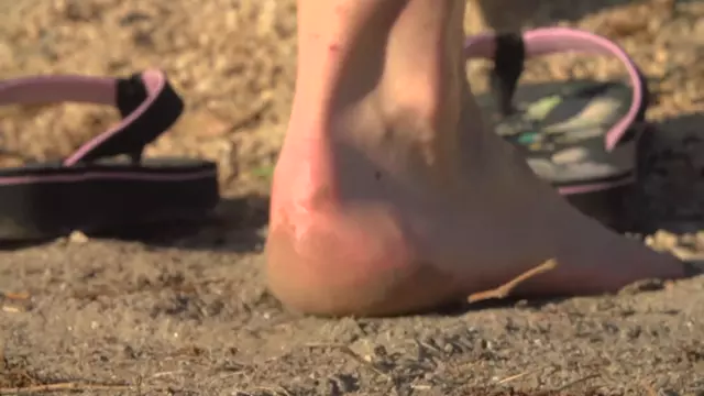 Poster: Renees Soles on a Warm California Day