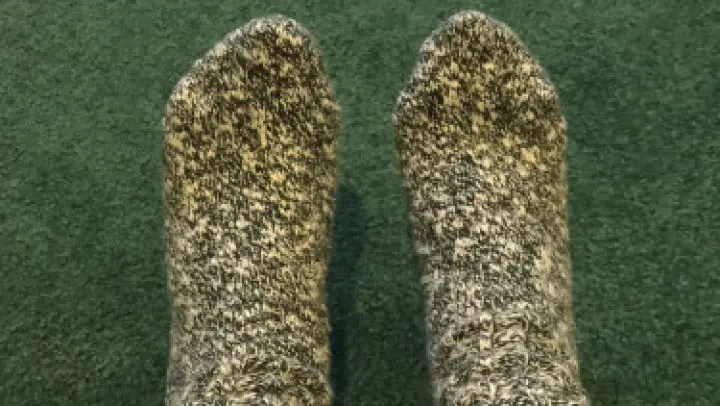 Poster: Smell n lick my dirty winter socks Poster: Smell n lick my dirty winter socks